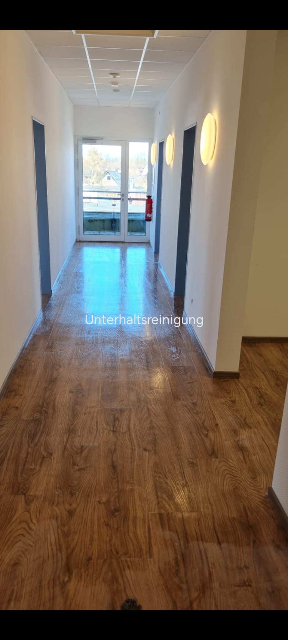 Teppich- und Polsterreinigung